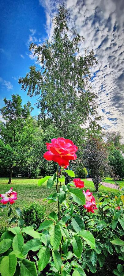 Zupe Pension Radailiai Buitenkant foto
