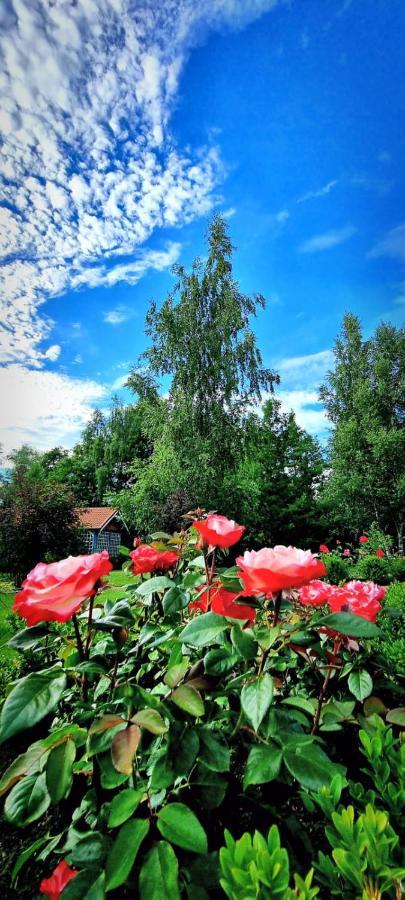 Zupe Pension Radailiai Buitenkant foto